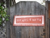the girl & the fig
