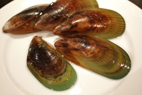 Wild green-lipped mussels