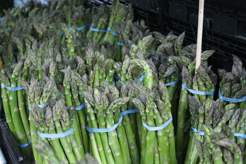 Asparagus, SF Ferry Building Farmer’s Market
