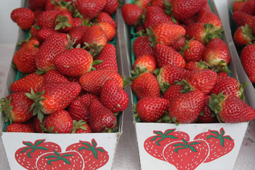 Fresh Strawberries, SF Ferry Building Farmer’s Market
