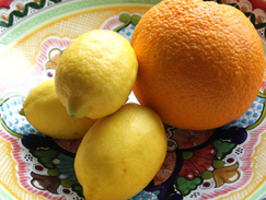 citrus-bowl-0061
