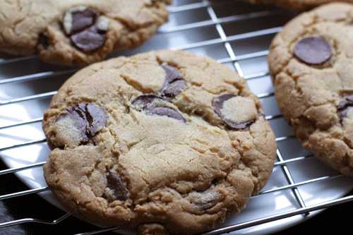 Jumbo chocolate chip cookie, flattened baseball version