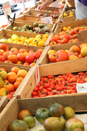 Tomatoes, so many beautiful tomatoes, at the Ferry Building farmer’s market