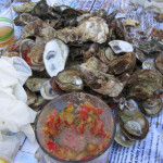 16th Annual Shuck & Swallow Oyster Challenge