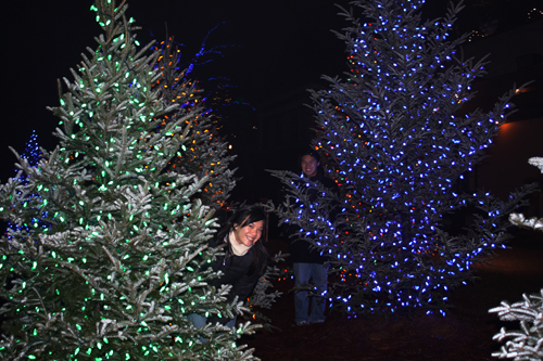 Christmas lights, Longwood Gardens, PA It's beginning to look a lot like Xmas! (Longwood Gardens, PA)