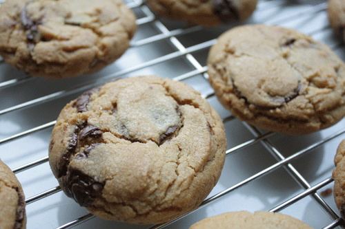NYT Ultimate Chocolate Chip Cookie