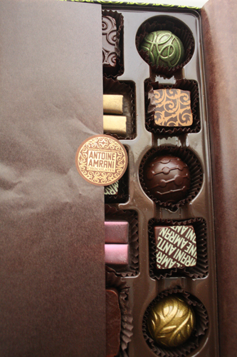 antoine-amrani-chocolates-018