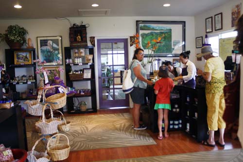 Maui_Ali'i Kula Lavender Shop