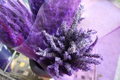 Maui_Ali'i Kula Lavender