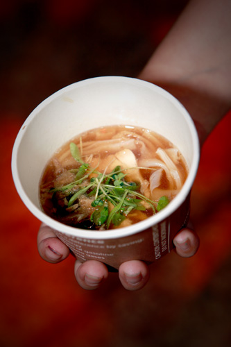 IMG_7063_LMS Vietnamese Chicken and Ginger Noodle Soup