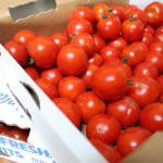 Tomatoes: An Addiction (Early Girl Tomato Sauce)