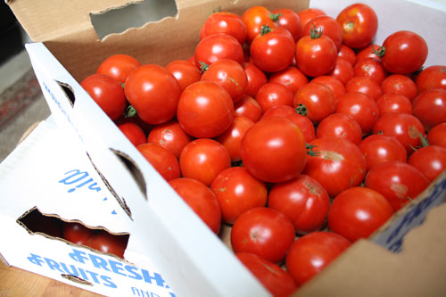 Tomatoes: An Addiction (Early Girl Tomato Sauce)