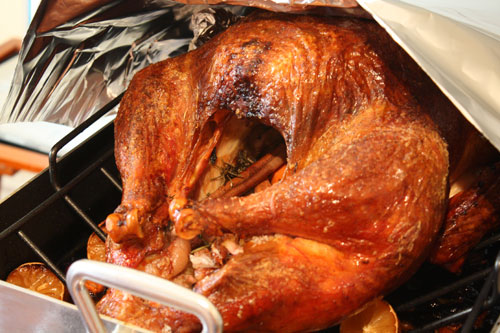 Thanksgiving turkey Thanksgiving turkey