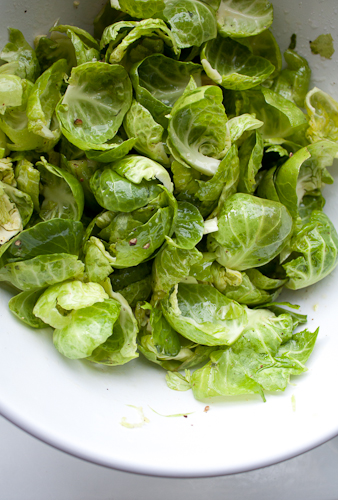 Brussels Sprout leaves Brussels Sprout leaves