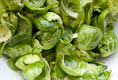 Roasted Brussels Sprout Chips with Lemon and Parmigiano