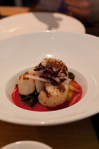 scallops at the modern, nyc