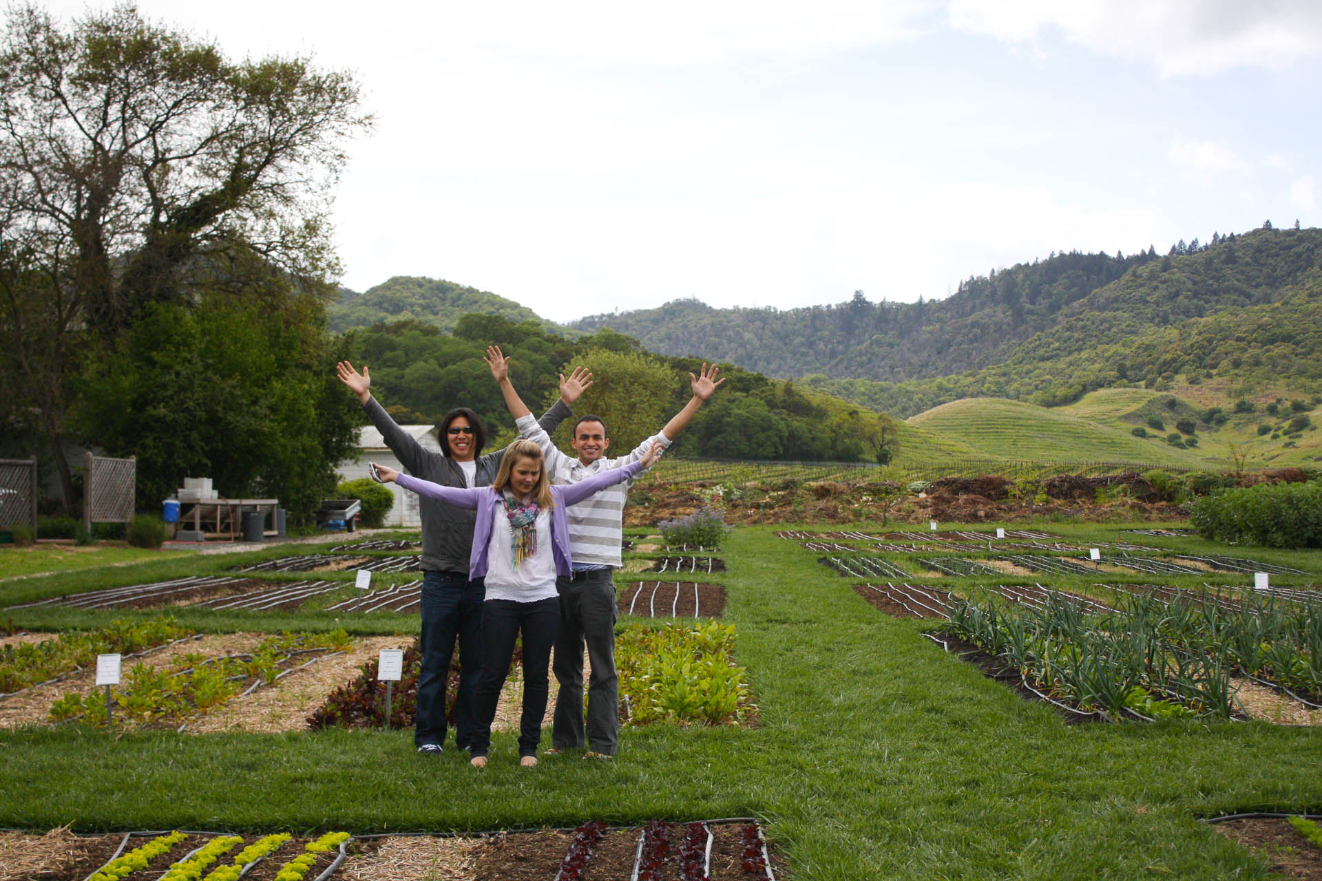 The French Laundry Garden // lickmyspoon.com