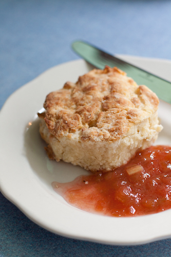 Biscuit and Rhubarb Jam