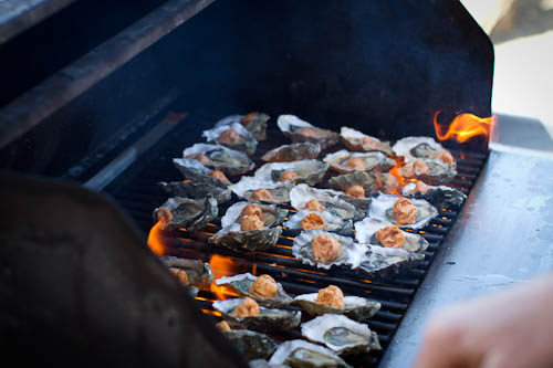 BBQ Oysters, Hog Island