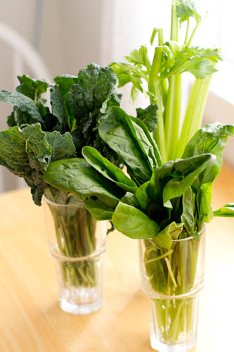 Kale, Spinach, Celery juice