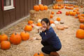 High Five Fridays: Weekly Meal Plan (10.26.12), Orange October