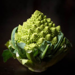 Romanesco, the Lady Gaga of Broccoli