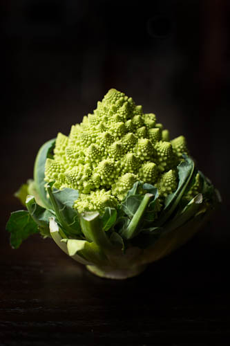 Romanesco, the Lady Gaga of Broccoli