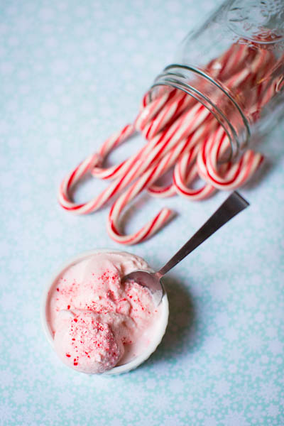 Candy Cane Ice Cream in a Bag Recipe