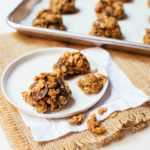 Healthy Lactation Cookies