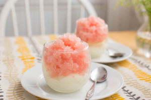 Grapefruit Campari Granita + Yogurt Semifreddo // lickmyspoon.com